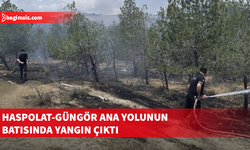 Haspolat - Güngör ana yolunun batısındaki ormanlık alanda yangın.. Soğutma sürüyor