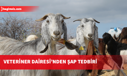 Veteriner Dairesi’nden şap tedbiri: Hayvan hareketleri için resmi izin alınacak