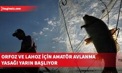 Orfoz ve Lahoz için amatör avlanma yasağı yarın başlıyor