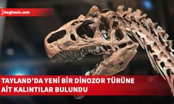Tayland'da yeni bir dinozor türüne ait kalıntılar bulundu