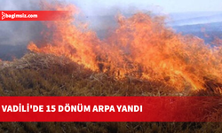 Vadili'de 15 dönüm arpa yandı