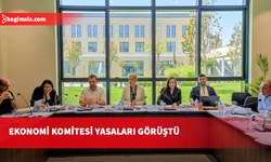 Ekonomi, Maliye, Bütçe ve Plan Komitesi bir öneri ile üç yasa tasarısını görüştü
