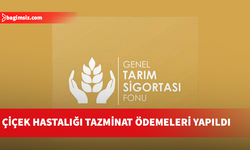 Çiçek hastalığı tazminat ödemeleri yapıldı