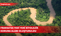 Fransa 157 bin hektar ormanı koruma altına aldı