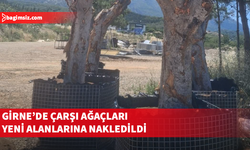 Girne Belediyesi’nden Ziya Rızkı Çarşısı’nda Peyzaj Yenilemesi