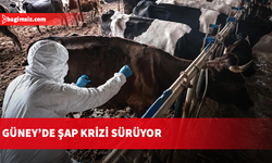 Güney Kıbrıs’ta şap hastalığıyla mücadeleye asker ve polis de dahil oluyor