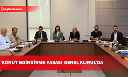 Hukuk Komitesi bazı karar tasarılarıyla Konut Edindirme (Değişiklik) Yasası'nı Genel Kurul'a sevk etti