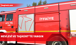 İki ayrı bölgede çıkan yangın zarara neden oldu
