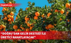 Narenciye Üreticileri Birliği: Ürün ödemeleri bir an önce başlamalı, hükümet kaynak yaratmalı