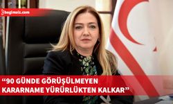 Ombudsman Varol: Karara bağlanmayan yasa gücünde kararnameler 90 günde yürürlükten kalkar