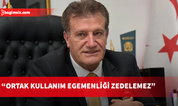 Arıklı: Batum Modeli önerisinin egemenlikle uzaktan yakından alakası yok