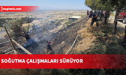 Taşkent Doğa Parkı yakınlarındaki yangın söndürüldü