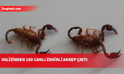 Valizinde 150 adet zehirli akrep taşıyan şüpheli havalimanında gözaltına alındı