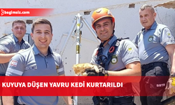 30 metrelik kuyuya düşen yavru kedi kurtarıldı