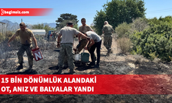 Üç ayrı yerde çıkan yangınlar zarara neden oldu