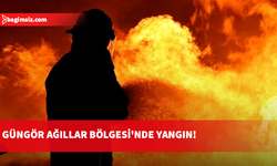 Güngör Ağıllar Bölgesi'nde yangın: Çok sayıda hayvan telef oldu, 2 kişi dumandan etkilendi