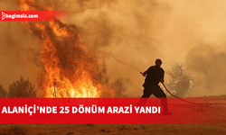 Alaniçi'nde çıkan yangında yaklaşık 25 dönüm tarım arazisi zarar gördü