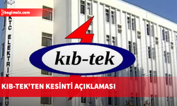 Geçitkale Trafo Merkezi'ne giren yılan elektrik kesintisine neden oldu