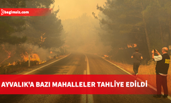 Balıkesir’de orman yangını