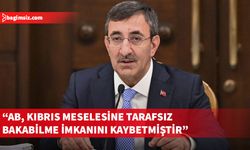 Türkiye Cumhurbaşkanı Yardımcısı Yılmaz: AP kararının hiçbir hukuki ve vicdani temeli yok