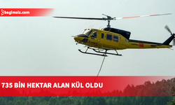 Kanada'nın Ontario eyaletindeki orman yangınlarında 735 bin hektarlık alan kül oldu