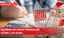 Yılın ilk 6 ayında hayat pahalılığı yüzde 16,95'e ulaştı