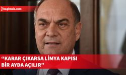 Karavezirler: Limya Geçiş Kapısı bir ayda açılışa hazır hale getirilebilir