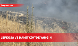 Lefkoşa Sanayi Bölgesi'nde yangın: 40 dönümlük arazi küle döndü