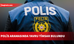 Evinde canlı mermi ve yavru timsah bulundu: Tutuklandı