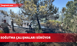 Kozanköy’deki yangın kontrol altına alındı