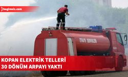 Geçitkale-Sütlüce Anayolu'nda yangın