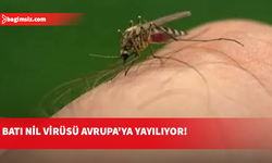 Avrupa'da Batı Nil virüsü: Yunanistan’da son haftalarda vakalarda artış görüldü