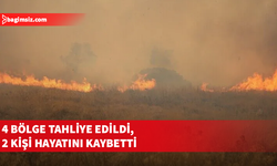 Yunanistan'ın Salamina Adası'nda orman yangını