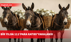Para kuryelerinin yerini, banka hesabını başkasına kullandıran “katırlar” aldı