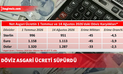 Döviz asgari ücreti süpürdü