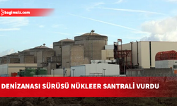 Fransa'da denizanası sürüsü nedeniyle 3 nükleer reaktörün faaliyetleri durduruldu