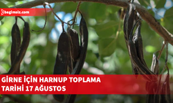 Girne için harnup toplama tarihi 17 Ağustos