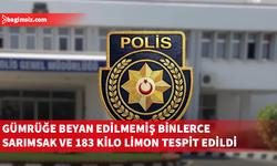 Gümrüğe beyan edilmemiş 4 bin 775 baş sarımsak ve 183 kilo limon ele geçirildi