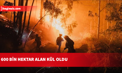 Avrupa'daki orman yangınları 600 bin hektardan fazla alanı etkiledi