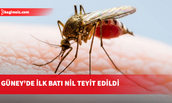 Batı Nil virüsü tehlikesi kapıya dayandı!