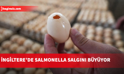 İngiltere'de salmonella salgınında 1 kişi öldü, 207 vaka tespit edildi