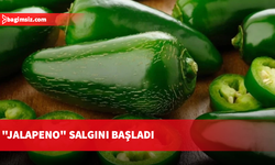 "Jalapeno" salgını başladı: Menülerden kaldırılıyor