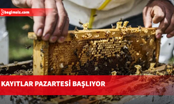 Arıcılar için Veteriner Dairesi’ne kayıtlar pazartesi başlıyor
