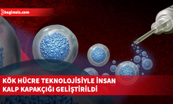 Avustralya'da kök hücreden, insandakine benzer kalp kapakçık dokuları üretildi
