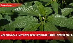 Gıda denetimleri: Molehiyada limit üstü bitki koruma ürünü tespit edildi