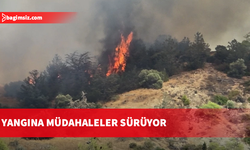 Yamaçköy-Tırmen arasında ormanlık alanda yangın