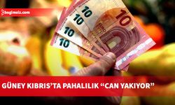 Rumların yüzde 17,1 yoksulluk tehlikesi altında yaşıyor