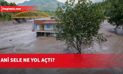 Dev buz kütlesi koptu, sel 10 dakikada 20 kilometre ilerledi