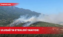 Uludağ’ın eteklerinde alevler yükseldi: Çam ormanları yanıyor!