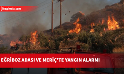 Yunanistan'ın Eğriboz Adası ve Meriç ilinde orman yangınları çıktı